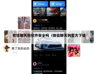 微信聊天狗软件安全吗（微信聊天狗官方下载）