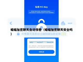 蝙蝠加密聊天自动领卷（蝙蝠加密聊天安全吗）