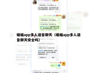 蝙蝠app多人语音聊天（蝙蝠app多人语音聊天安全吗）