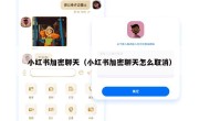 小红书加密聊天（小红书加密聊天怎么取消）