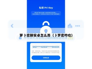 萝卜密聊安卓怎么弄（卜罗密咋吃）