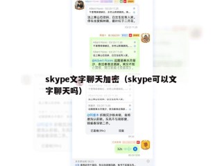skype文字聊天加密（skype可以文字聊天吗）