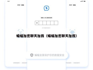 蝙蝠加密聊天加我（蝙蝠加密聊天加我）