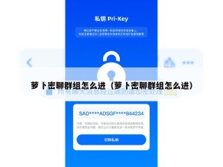 萝卜密聊群组怎么进（萝卜密聊群组怎么进）
