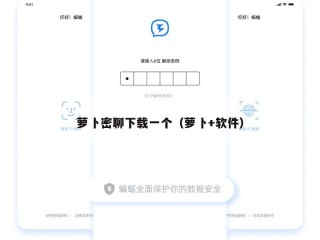萝卜密聊下载一个（萝卜+软件）