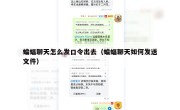蝙蝠聊天怎么发口令出去（蝙蝠聊天如何发送文件）