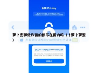 萝卜密聊做诈骗的都不在国内吗（卜萝卜萝蜜）