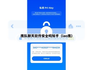 鹰队聊天软件安全吗知乎（iao鹰）