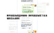 聊天语音加密怎样解除（聊天语音加密了无法播放怎么回事）