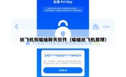 纸飞机和蝙蝠聊天软件（蝙蝠纸飞机原理）