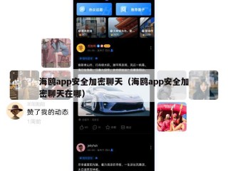 海鸥app安全加密聊天（海鸥app安全加密聊天在哪）