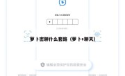 萝卜密聊什么套路（萝卜+聊天）