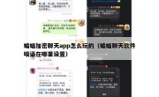 蝙蝠加密聊天app怎么玩的（蝙蝠聊天软件暗语在哪里设置）