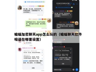 蝙蝠加密聊天app怎么玩的（蝙蝠聊天软件暗语在哪里设置）