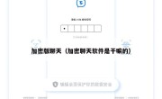 加密版聊天（加密聊天软件是干嘛的）