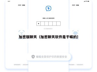 加密版聊天（加密聊天软件是干嘛的）