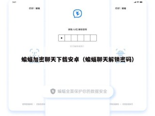 蝙蝠加密聊天下载安卓（蝙蝠聊天解锁密码）
