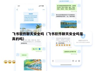 飞书软件聊天安全吗（飞书软件聊天安全吗是真的吗）