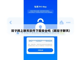 双子网上聊天软件下载安全吗（跟双子聊天）