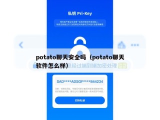 potato聊天安全吗（potato聊天软件怎么样）