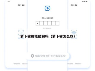 萝卜密聊能破解吗（萝卜密怎么吃）