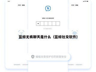 蓝鲸无痕聊天是什么（蓝鲸社交软件）