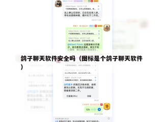 鸽子聊天软件安全吗（图标是个鸽子聊天软件）