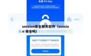 session安全聊天软件（session 安全吗）