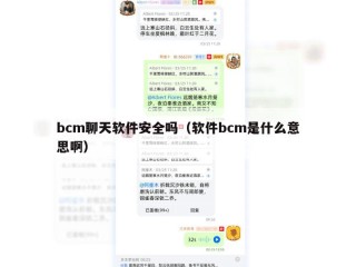 bcm聊天软件安全吗（软件bcm是什么意思啊）