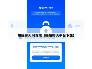 蝙蝠聊天网页端（蝙蝠聊天平台下载）