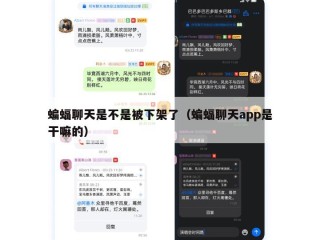 蝙蝠聊天是不是被下架了（蝙蝠聊天app是干嘛的）