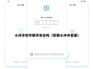 小冲冲软件聊天安全吗（安徽小冲冲老婆）