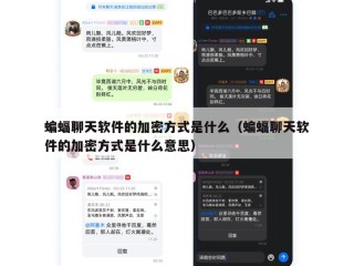 蝙蝠聊天软件的加密方式是什么（蝙蝠聊天软件的加密方式是什么意思）