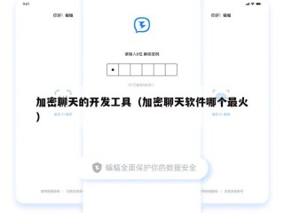 加密聊天的开发工具（加密聊天软件哪个最火）