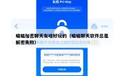 蝙蝠加密聊天有啥好玩的（蝙蝠聊天软件总是解密失败）