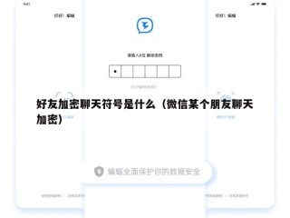 好友加密聊天符号是什么（微信某个朋友聊天加密）