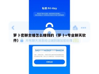 萝卜密聊主播怎么赚钱的（萝卜+专业聊天软件）