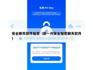 安全聊天软件加密（新一代安全加密聊天软件）