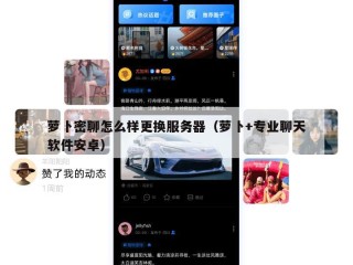 萝卜密聊怎么样更换服务器（萝卜+专业聊天软件安卓）