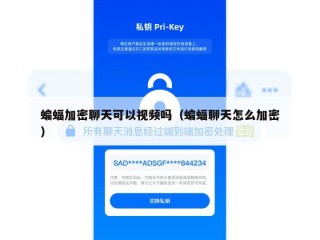 蝙蝠加密聊天可以视频吗（蝙蝠聊天怎么加密）