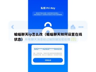 蝙蝠聊天ip怎么改（蝙蝠聊天如何设置在线状态）