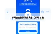 聊天加密搞笑视频大全（聊天 加密）