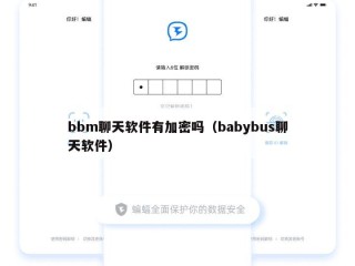 bbm聊天软件有加密吗（babybus聊天软件）
