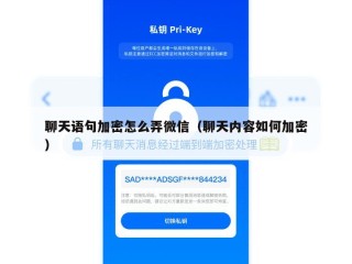 聊天语句加密怎么弄微信（聊天内容如何加密）