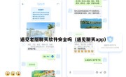 遇见老版聊天软件安全吗（遇见聊天app）