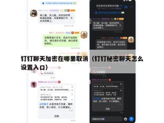 钉钉聊天加密在哪里取消（钉钉秘密聊天怎么设置入口）