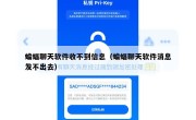 蝙蝠聊天软件收不到信息（蝙蝠聊天软件消息发不出去）