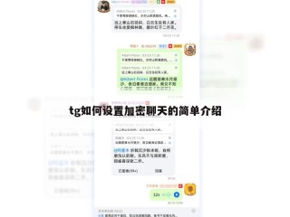 tg如何设置加密聊天的简单介绍