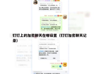 钉钉上的加密聊天在哪设置（钉钉加密聊天记录）
