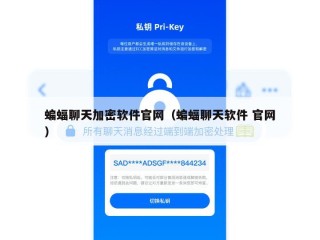 蝙蝠聊天加密软件官网（蝙蝠聊天软件 官网）